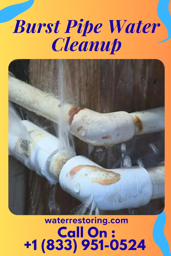 Burst Pipe Water Cleanup in Artas, SD