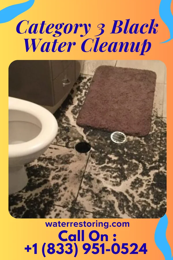 Category 3 Black Water Cleanup in Artas, SD