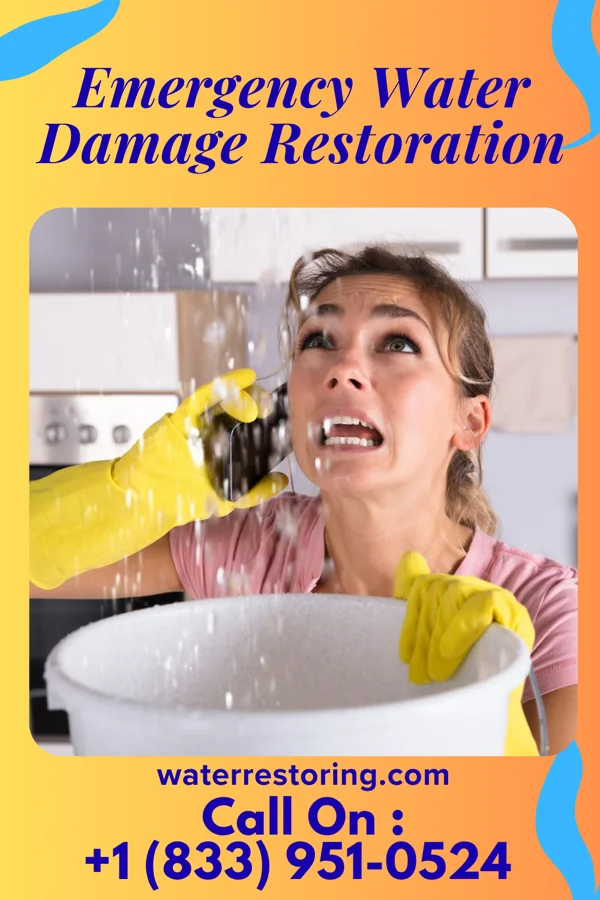 Emergency Water Damage Restoration in Artas, SD