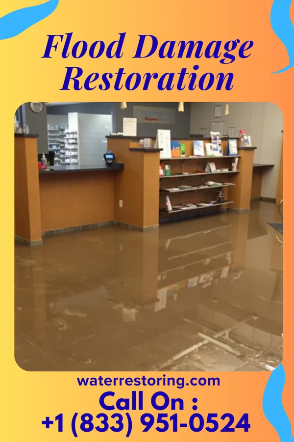 Flood Damage Restoration in Artas, SD