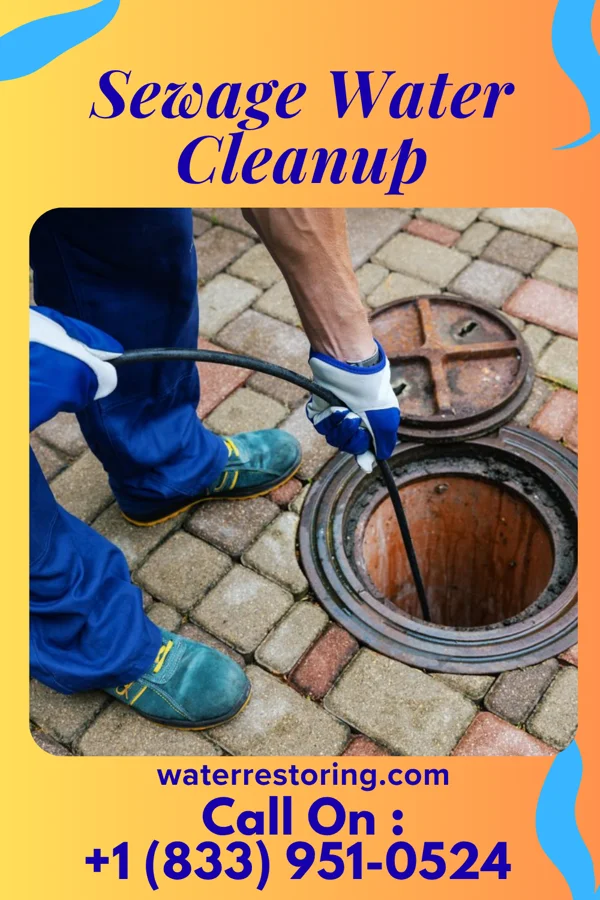 Sewage Water Cleanup in Artas, SD